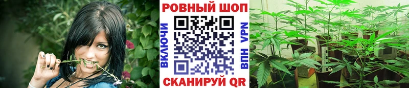 Виды наркотиков купить Стародуб ссылка на мегу онион МЕФ КОКАИН СОЛЬ