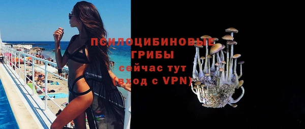 ГАЛЛЮЦИНОГЕННЫЕ ГРИБЫ Алексеевка