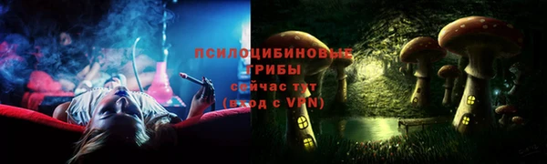 ГАЛЛЮЦИНОГЕННЫЕ ГРИБЫ Алексеевка