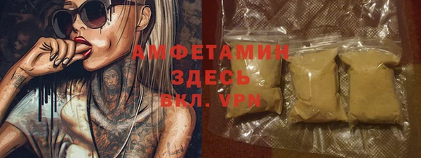 хмурый Алзамай