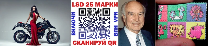 Марки 25I-NBOMe 1,8мг  KRAKEN маркетплейс  Стародуб 